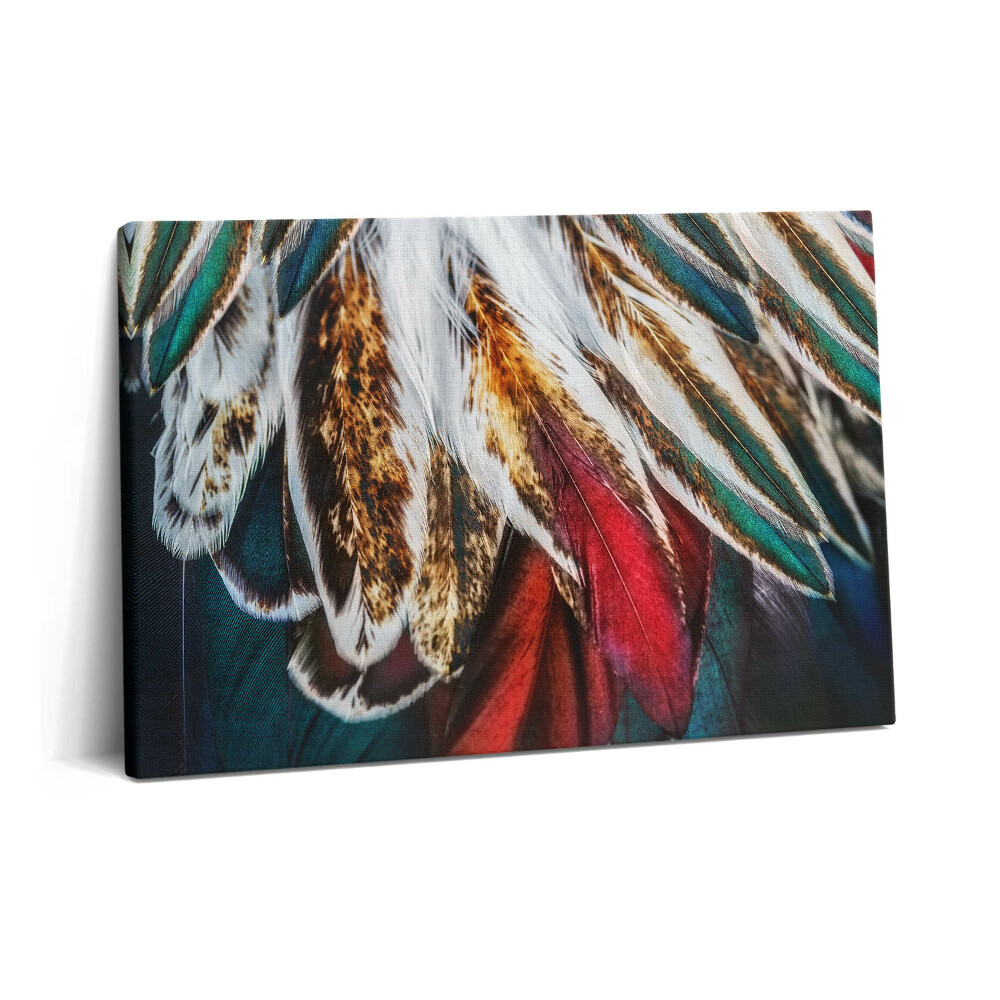 Obraz na plátně 60x40 cm Světle hnědé ptačí peří