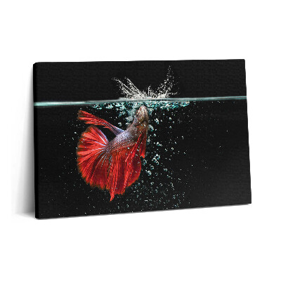 Obraz canvas 60x40 cm Ryby v akváriu