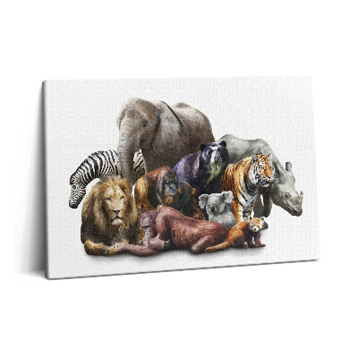 Obraz z fotografie na plátně 60x40 cm Divoká příroda