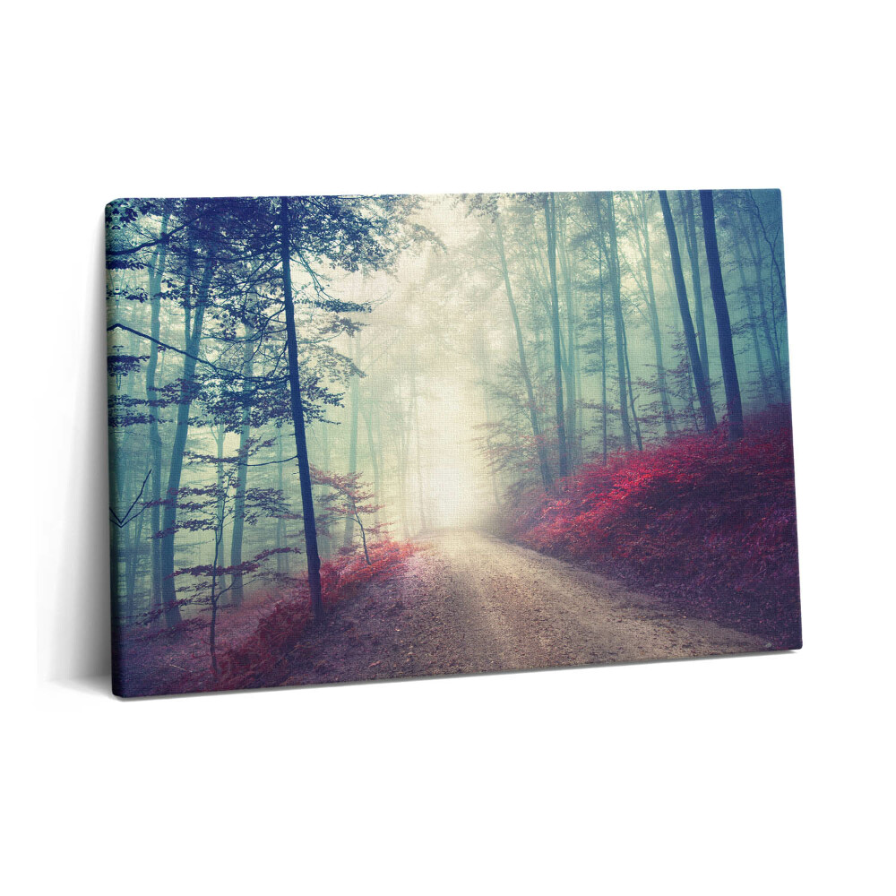 Obraz na plátně 60x40 cm Silnice v mlžném podzimním lese