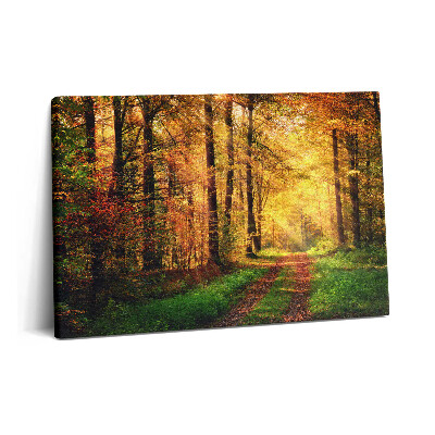Obraz z fotografie na plátně 60x40 cm Podzimní krajina lesa