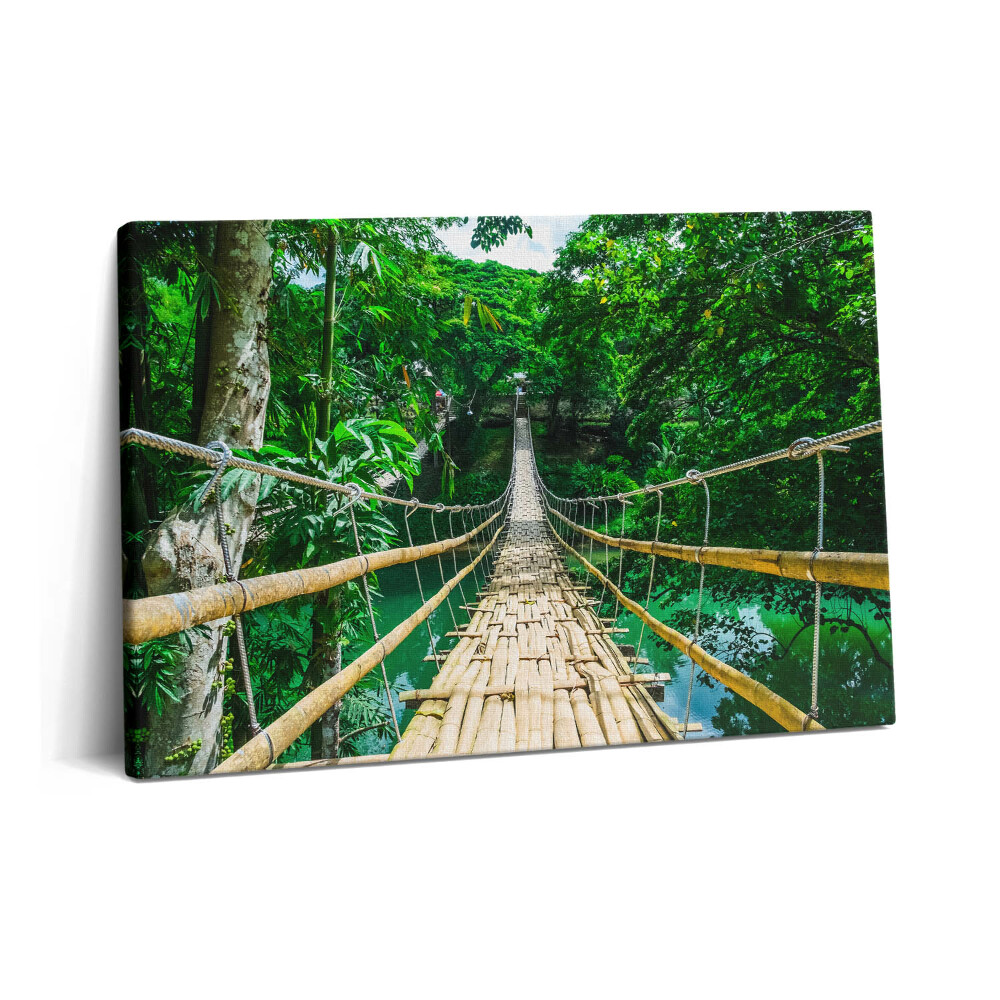 Obraz canvas 60x40 cm Most v lese na Filipínách