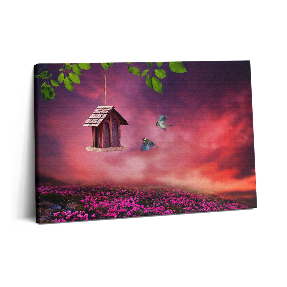 Obraz na plátně 60x40 cm Klec na hřídele