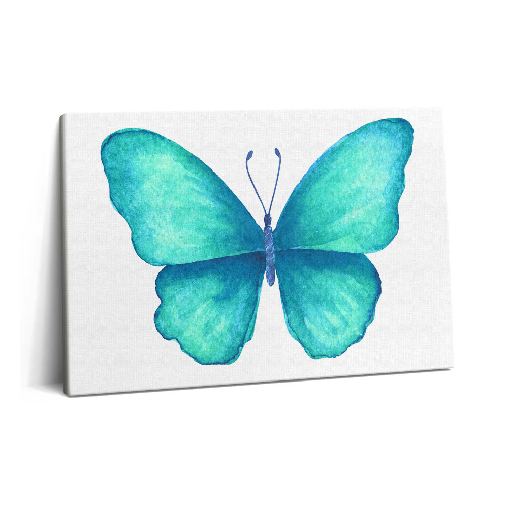 Obraz z fotografie na plátně 60x40 cm Tyrkysový letní motýl