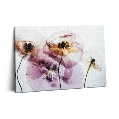 Obraz na plátně 60x40 cm Sušené květy máku