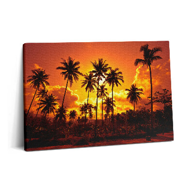 Obraz z fotografie na plátně 60x40 cm Palmy Thajsko Pláž Klong Prao