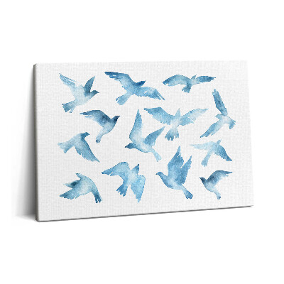 Obraz z fotografie na plátně 60x40 cm Ptáci létající ve vzduchu