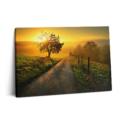 Obraz canvas 60x40 cm Mlha při východu slunce