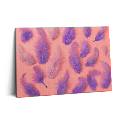 Obraz na plátně 60x40 cm Barevné peří