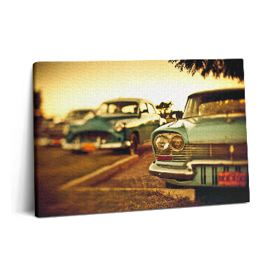 Obraz canvas 60x40 cm Stará auta - sbírka aut