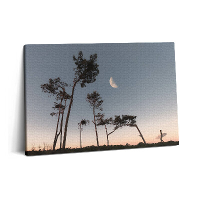 Obraz z fotografie na plátně 60x40 cm Půlměsíc a stromy