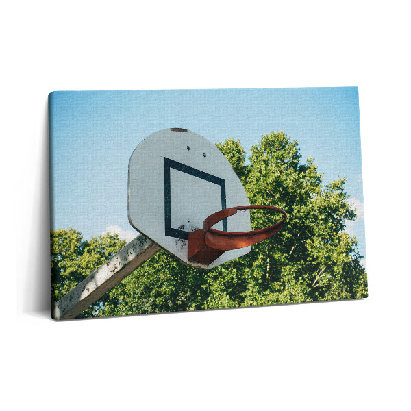 Obraz canvas 60x40 cm Basketbalové sporty