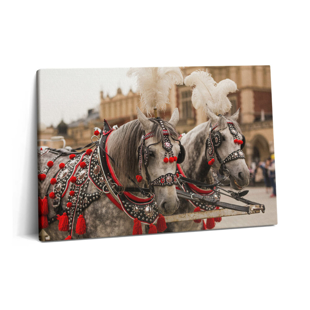 Obraz canvas 60x40 cm Krásní koně v Krakově