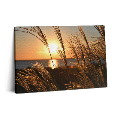 Obraz canvas 60x40 cm Pšenice ve zlaté hodině