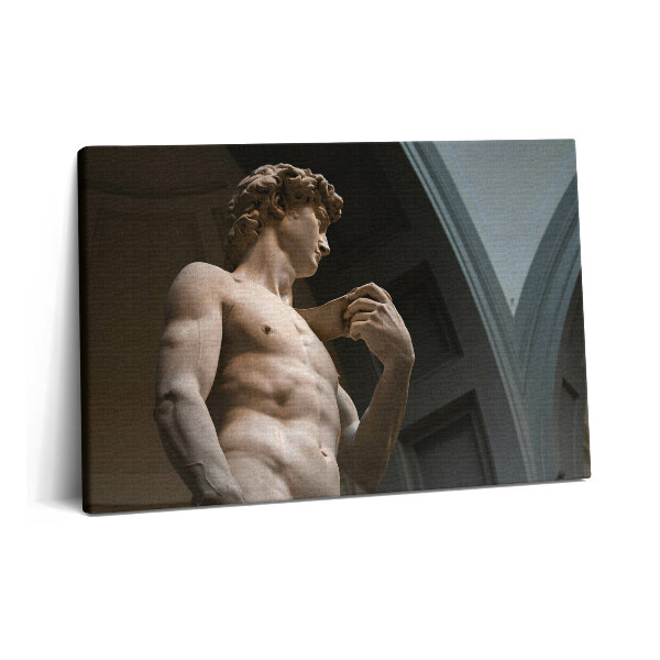Obraz canvas 60x40 cm Socha Davida - Michelangelo