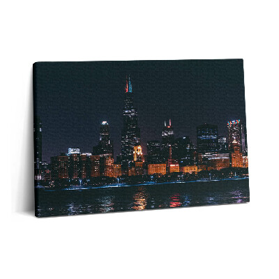 Obraz z fotografie na plátně 60x40 cm Krajina v Chicagu