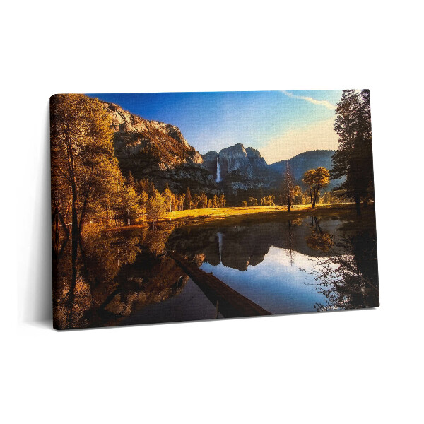 Obraz z fotografie na plátně 60x40 cm Les v Yosemitském parku