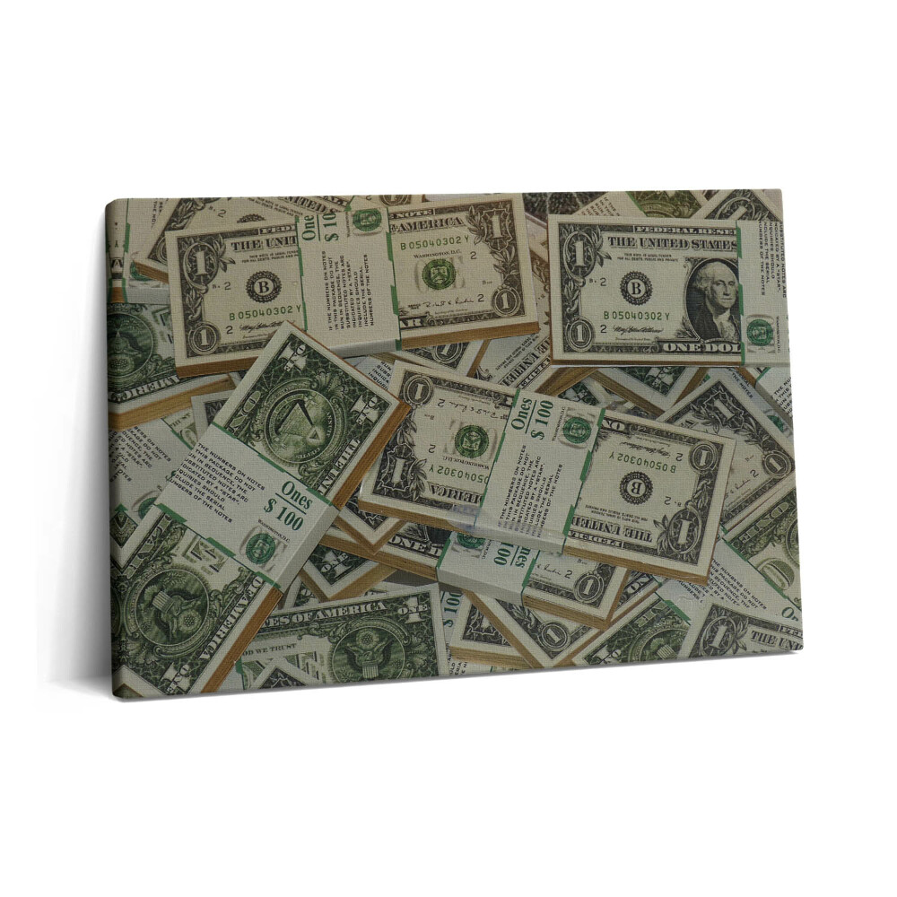 Obraz z fotografie na plátně 60x40 cm 1 americký dolar