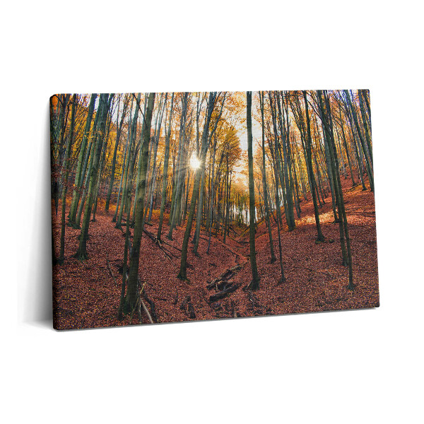 Obraz na plátně 60x40 cm Západ slunce a stromy