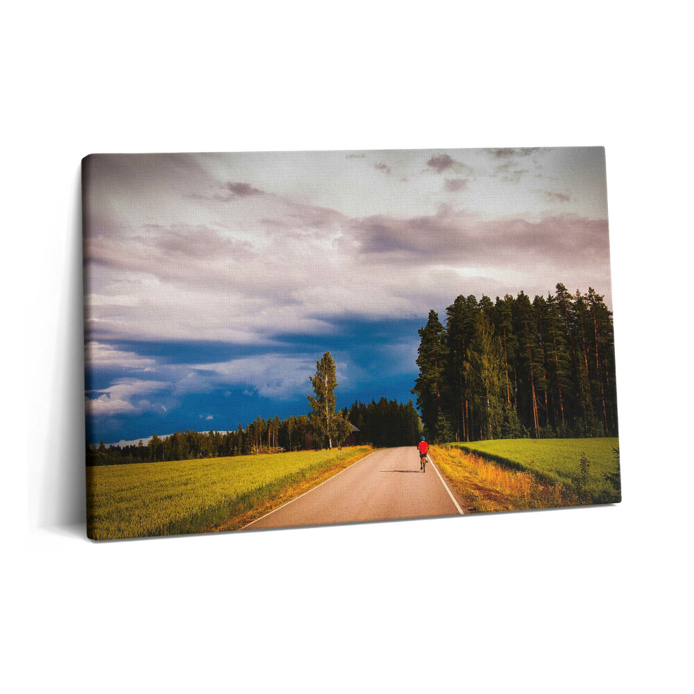 Obraz na plátně 60x40 cm Uklizená cyklostezka