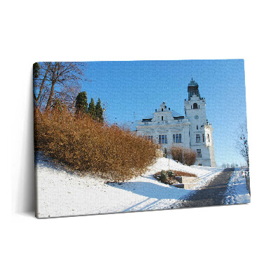 Obraz z fotografie na plátně 60x40 cm Město Ostrava v zimě