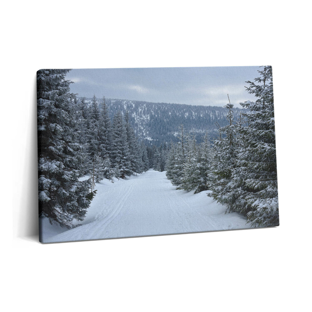 Obraz na plátně 60x40 cm České Krkonoše v zimě