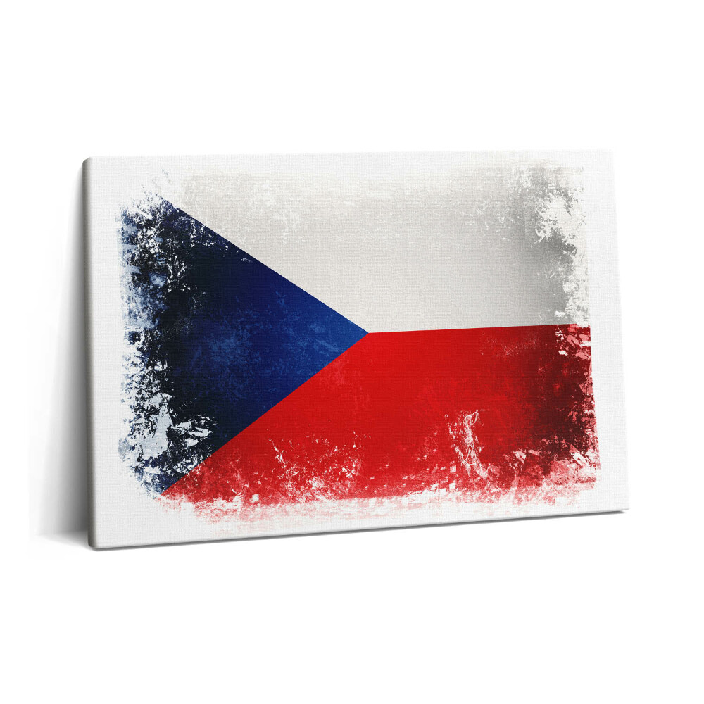 Obraz z fotografie na plátně 60x40 cm Česká vlajka
