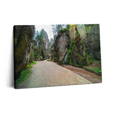 Obraz z fotografie na plátně 60x40 cm Skalní město v České republice