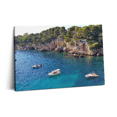 Obraz na plátně 60x40 cm Krajina na Cap d'Antibes