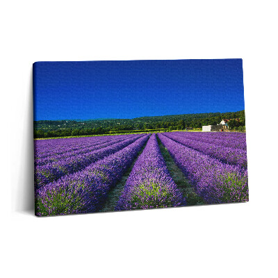 Obraz z fotografie na plátně 60x40 cm Levandulové pole v Provence