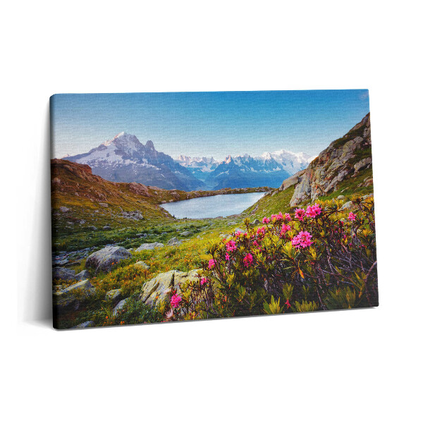 Obraz na plátně 60x40 cm Ledovec Mont Blanc Chamonix