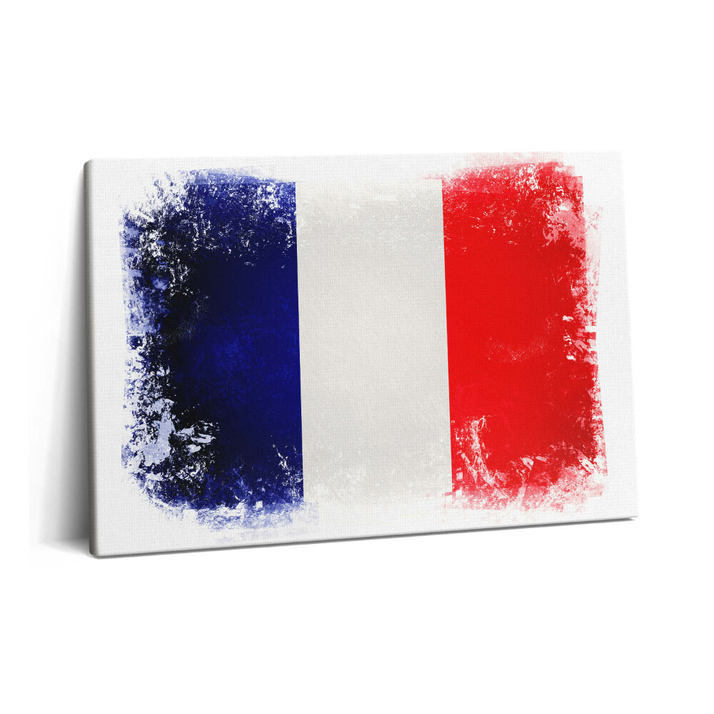Obraz na plátně 60x40 cm Francouzská vlajka