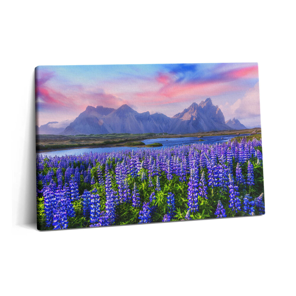 Obraz z fotografie na plátně 60x40 cm Levandulová pole - Island