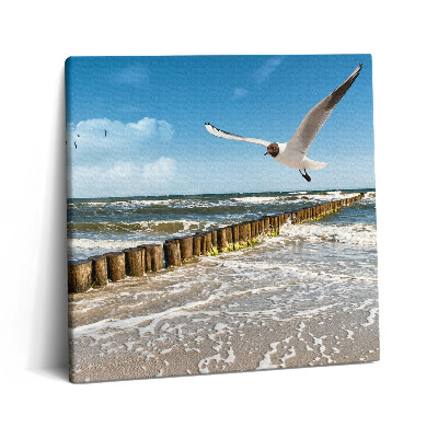 Obraz z fotografie na plátně 60x60 cm Pták u moře