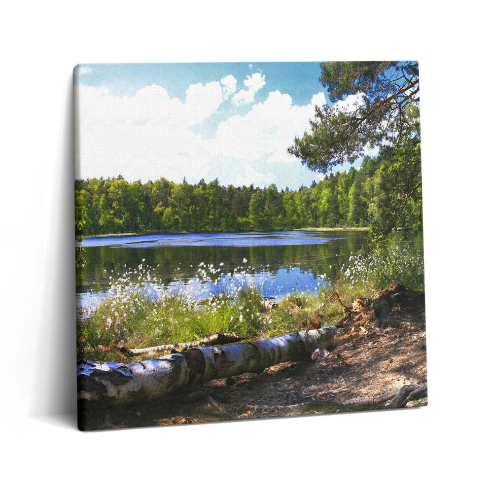 Obraz canvas 60x60 cm Pohled na jezero v lese