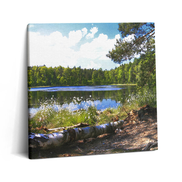 Obraz canvas 60x60 cm Pohled na jezero v lese