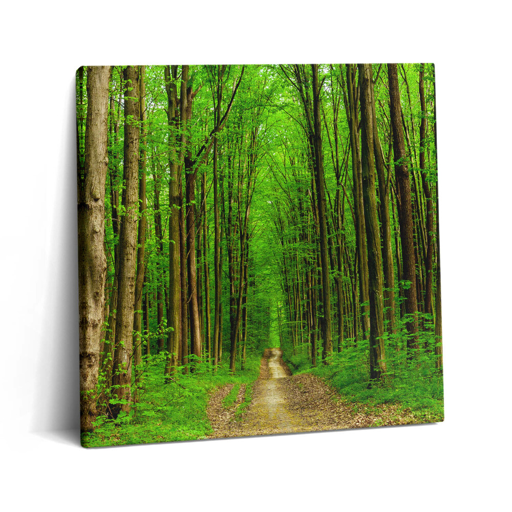 Obraz z fotografie na plátně 60x60 cm Lesní cesta mezi stromy