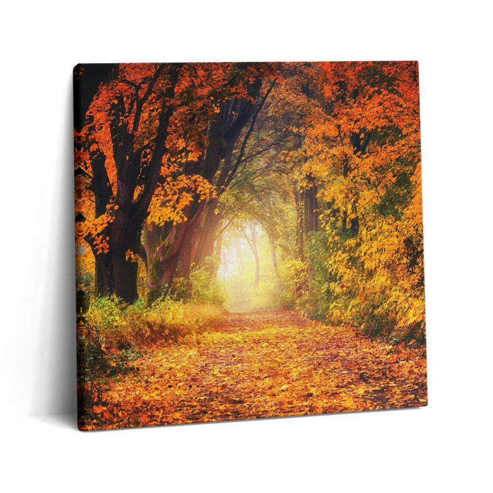 Obraz canvas 60x60 cm Lesní tunel z podzimního listí