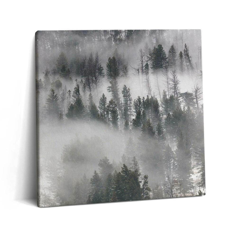 Obraz canvas 60x60 cm Mlhavá krajina v lese