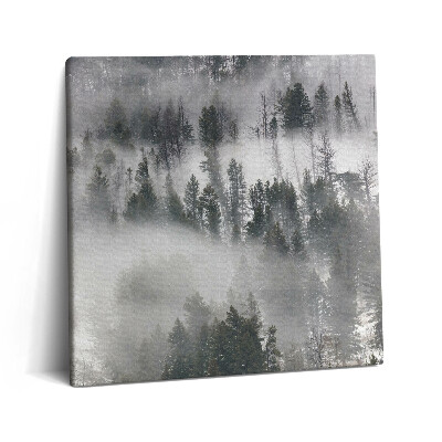 Obraz canvas 60x60 cm Mlhavá krajina v lese