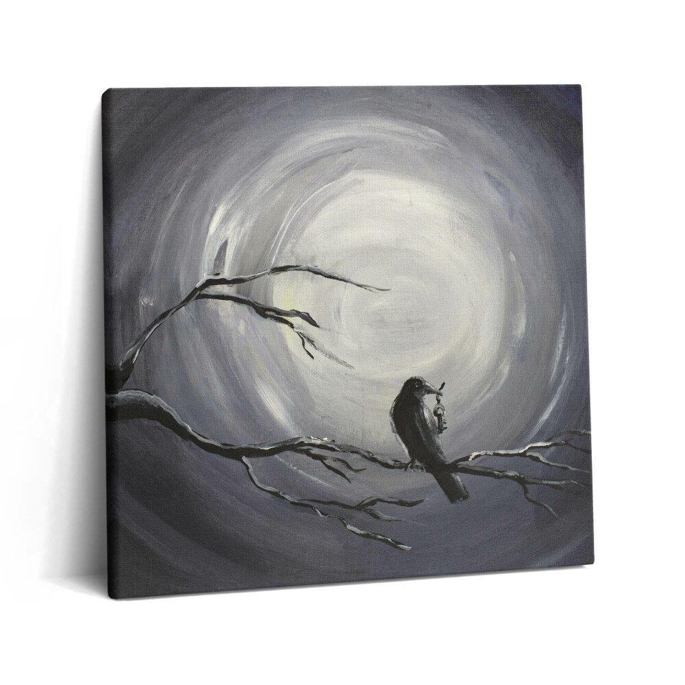 Obraz z fotografie na plátně 60x60 cm Havran v měsíčním světle