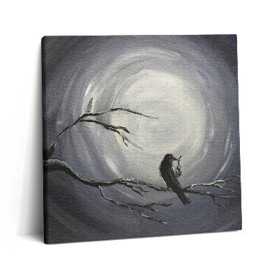 Obraz z fotografie na plátně 60x60 cm Havran v měsíčním světle