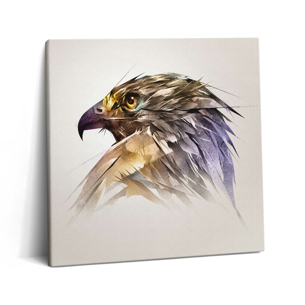 Obraz z fotografie na plátně 60x60 cm Královský dravý pták