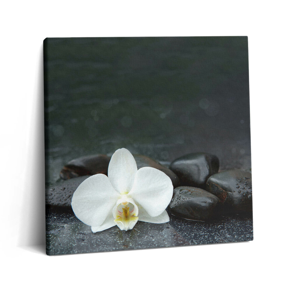 Obraz canvas 60x60 cm Zenové kameny s bílými květy