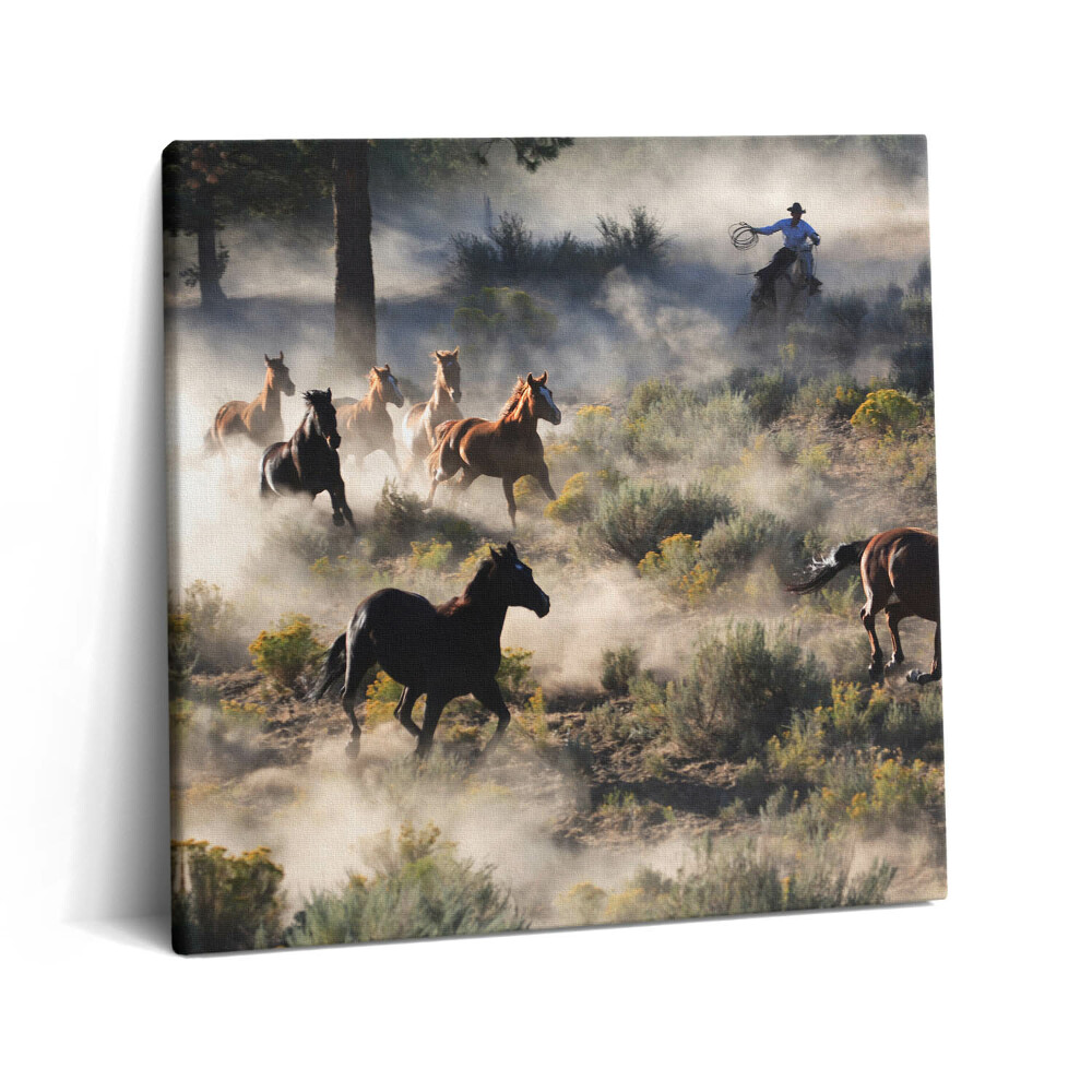 Obraz canvas 60x60 cm Stádo cválajících koní