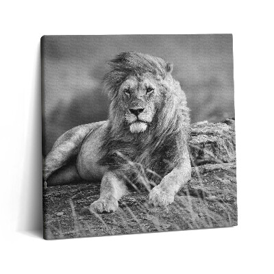 Obraz na plátně 60x60 cm Majestátní zvíře lev