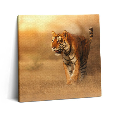 Obraz canvas 60x60 cm Divoký tygr na lovu