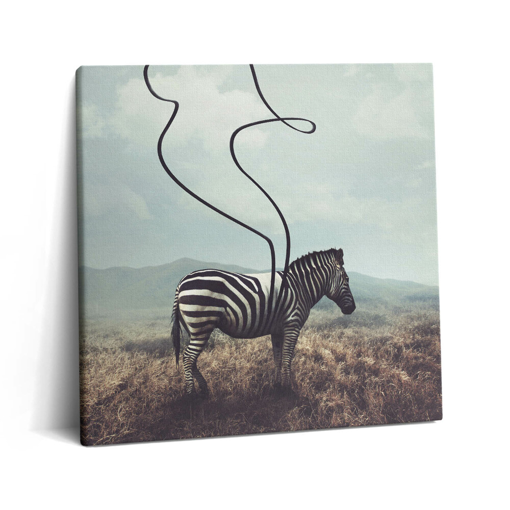 Obraz z fotografie na plátně 60x60 cm Ilustrace s pruhy zebry
