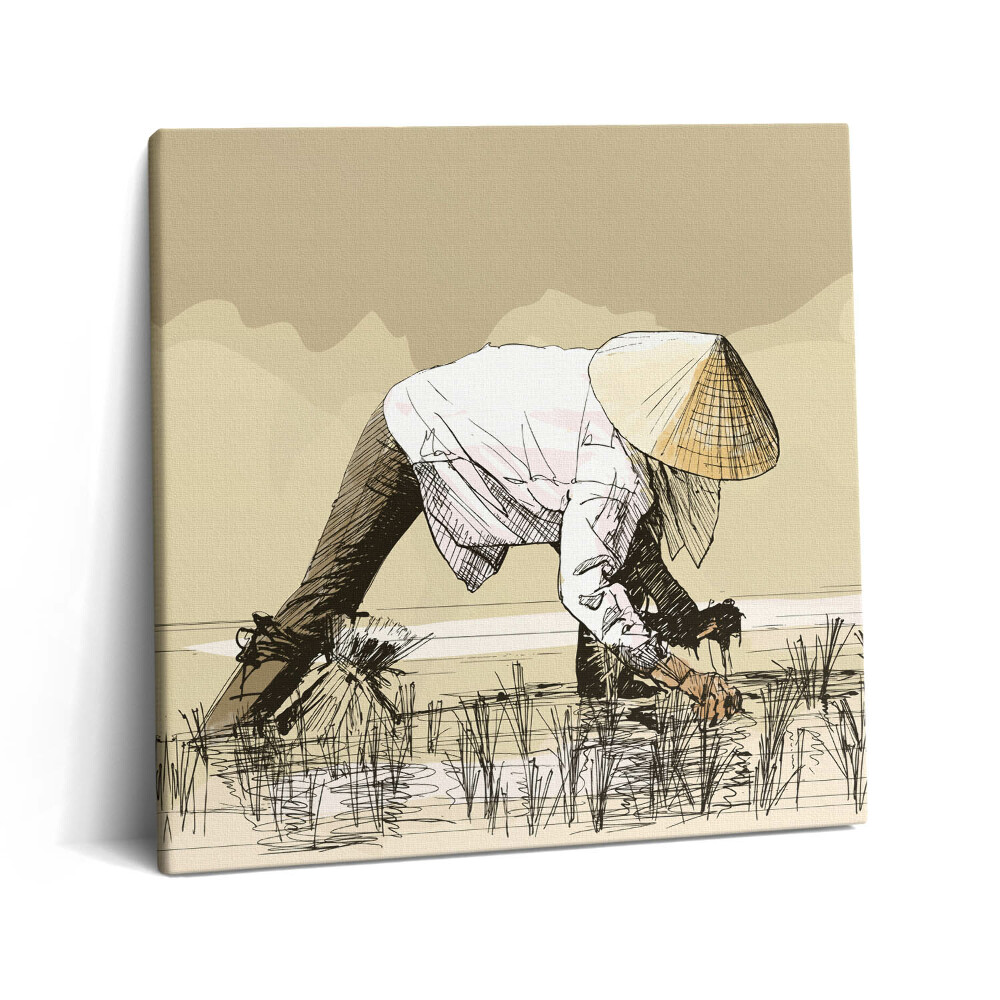 Obraz z fotografie na plátně 60x60 cm Dvě ženy sbírající rýži v Asii