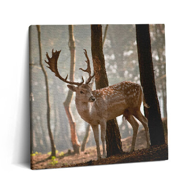 Obraz na plátně 60x60 cm Jelen v záři vycházejícího slunce